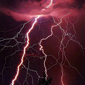 Moses-To You (0.85x)