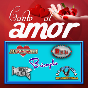 Nunca Dejare De Quererte