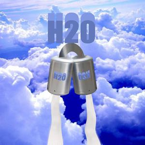 H20