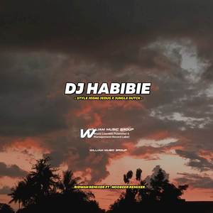 DJ COLABORASI HABIBIE