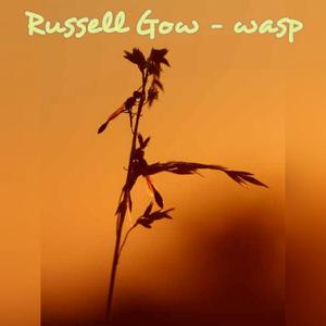 Wasp