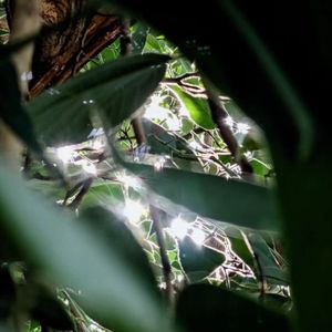 人生若是如初见