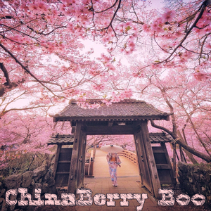 ChinaBerry Boo