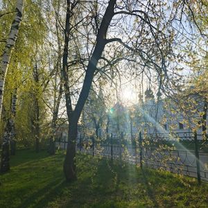 Пасхальная