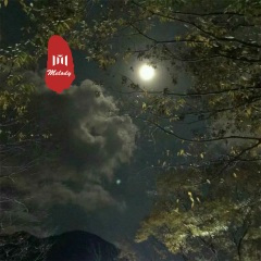 唯美越南鼓 (DJ版)