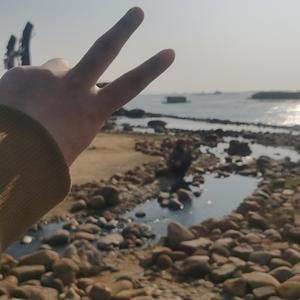 一个人的自由之旅