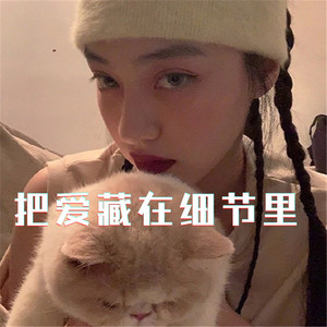 开往早晨的午夜(DJ抖音版)