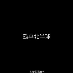孤单北半球