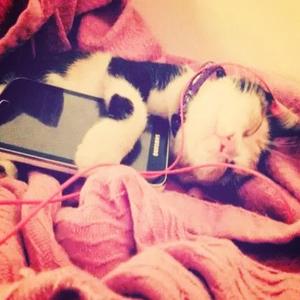 DOUBT ME (feat. pitchweavr & victxrw)