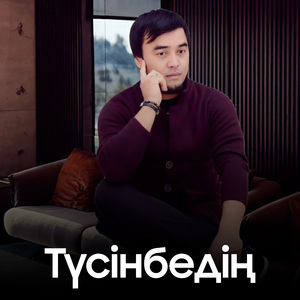 Түсінбедің