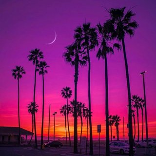 2021最热中文车载DJ（新歌单多多关照