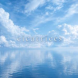 cicatrices