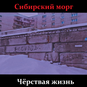 Кротовуха