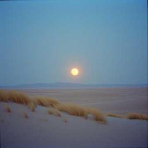 หลงรักในสายตา