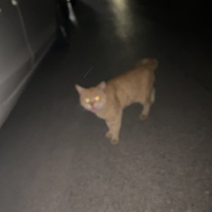 爱哭的玻璃（DEMO）