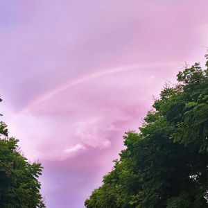 相亲对象说我骑驴找马