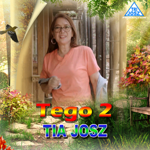 TEGO 2