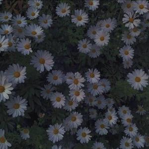 原来（prod.socialmannn)