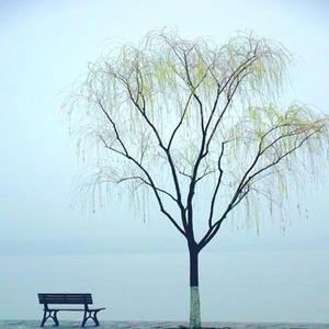 哎呦我的姑娘 (Cover 抠抠)