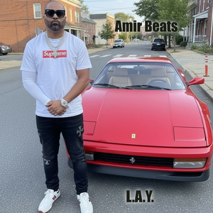 L.a.Y.
