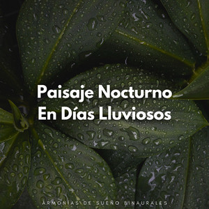 Sueños Apacibles De Lluvia