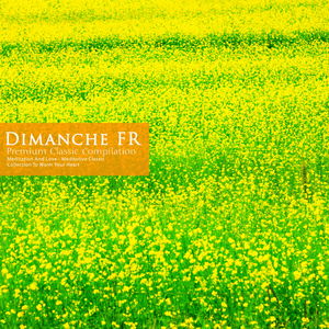 Dvorak: Piano Trio No.4 In E Minor Op.90 - VI. Lento Maestoso - Vivace - Lento - Vivace