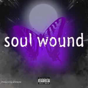 Soul wound (feat. Panah)