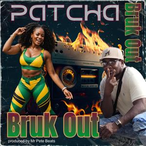 BRUK OUT