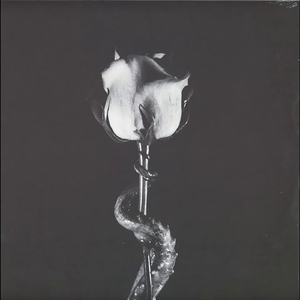 Sleepwalker (Sunil Sharpe Remix)