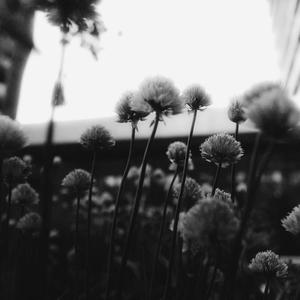 Monsters Under My Bed