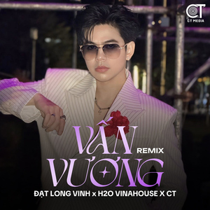 Vấn Vương (Remix)