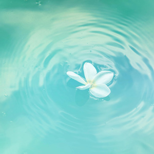 741 Hz – Clarity Vibes