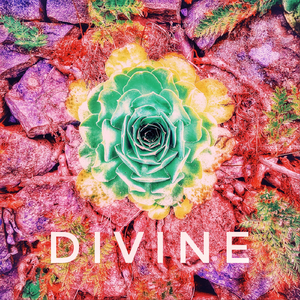 Divine