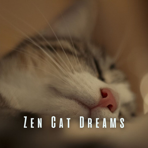 Light Piano Harmony for Safe Space