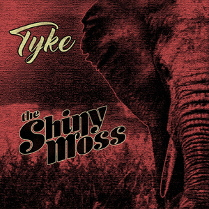 Tyke