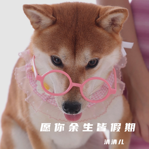 愿你余生皆假期