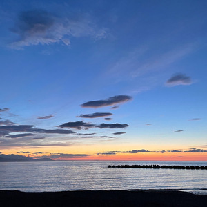 ヴィーナスは気まぐれ