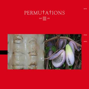 Curiositi - Slippin (Quit Life Remix)