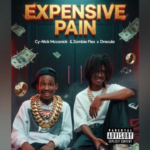 Expensive Pain