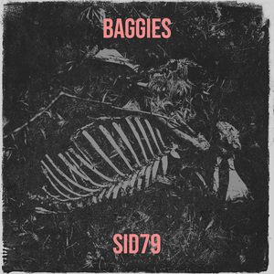 Baggies