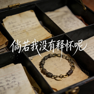 倘若我没有释怀呢