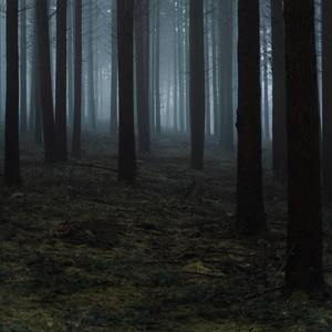 迷雾之舞 III 死亡