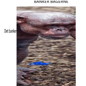 Nadver Er Min Yndlingsret