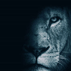 O alvorecer do leão