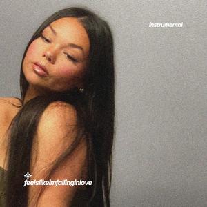 feelslikeimfallinginlove (instrumental)