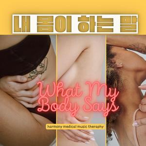 내몸이하는말