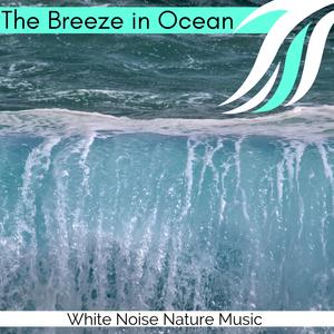 Find Me at Carolina Beach