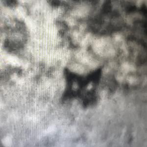 deal with the devil (retired amp)