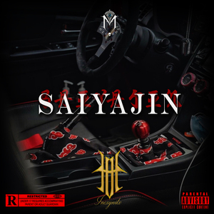 Saiyajin