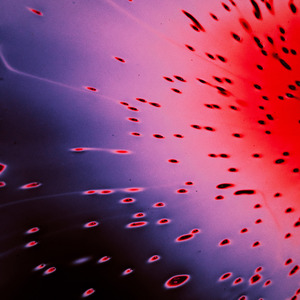 Grooveyard (Original Mix)